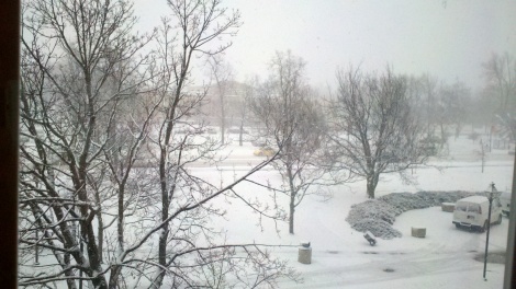 A snowy day in Buffalo!